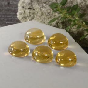  ct natürliche Gold Citrin-Edelsteine, Rundschliff, Transparent