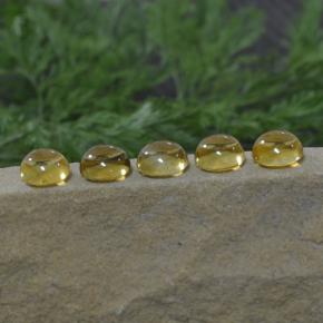 11,14 ct natürliche gelber Citrin-Edelsteine, Rundschliff, Transparent