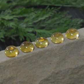 11,14 ct natürliche gelber Citrin-Edelsteine, Rundschliff, Transparent