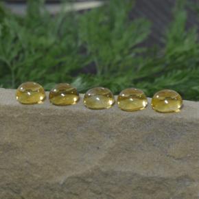 11,14 ct natürliche gelber Citrin-Edelsteine, Rundschliff, Transparent