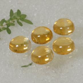 10,14 ct natürliche gelber Citrin-Edelsteine, Rundschliff, Transparent