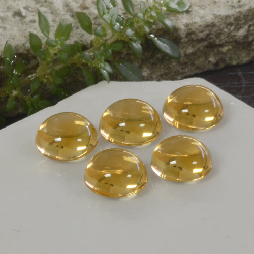 10,33 ct natürliche goldener Citrin-Edelsteine, Rundschliff, Transparent