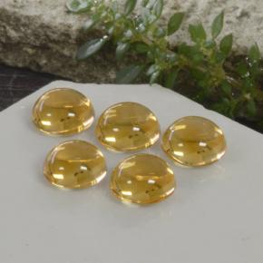 10,33 ct natürliche goldener Citrin-Edelsteine, Rundschliff, Transparent