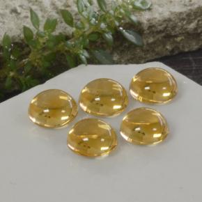 10,33 ct natürliche goldener Citrin-Edelsteine, Rundschliff, Transparent