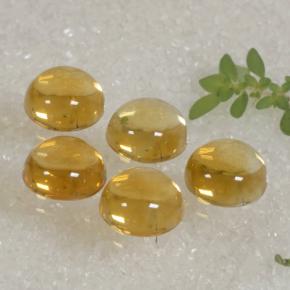 10,94 ct natürliche goldener Citrin-Edelsteine, Rundschliff, Transparent