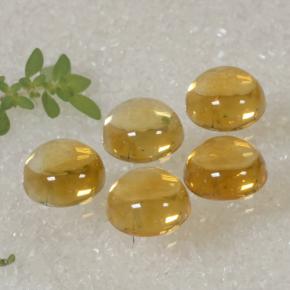 10,94 ct natürliche goldener Citrin-Edelsteine, Rundschliff, Transparent