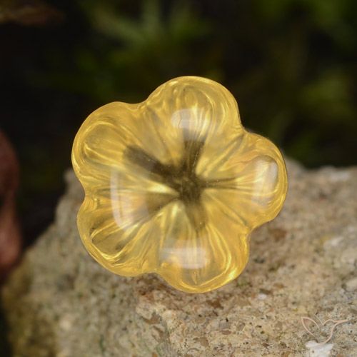 1.47ct Natürlicher Medium Gold  Citrin, Blumen-Schliff, Transparent