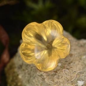 9,17 ctw natürlicher Medium Gold  Citrin, Blumen-Schliff, Transparent