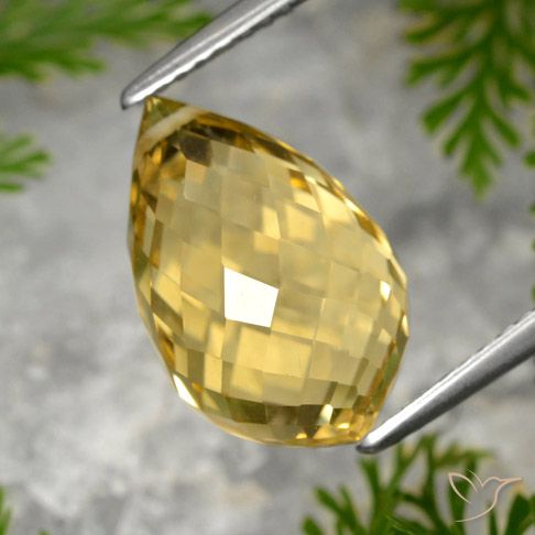 8.48ct Natürlicher Mittelgold Citrin, Briolette, VVS