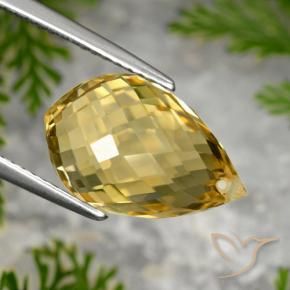 9,17 ctw natürlicher Mittelgold Citrin, Briolette, VVS
