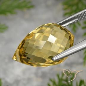 9,17 ctw natürlicher Mittelgold Citrin, Briolette, VVS