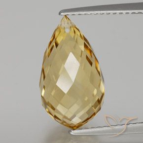 6.85ct Natürlicher gold-orange Citrin, Briolette, VVS-VS