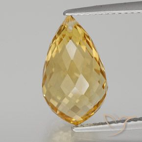 6.82ct Natürlicher Mittelhelles Gold Citrin, Briolette, VVS