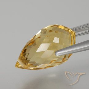 9,17 ctw natürlicher Mittelhelles Gold Citrin, Briolette, VVS