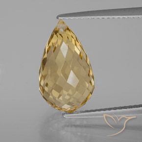 7.33ct Natürlicher Golden Citrin, Briolette, VVS