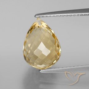 5.41ct Natürlicher Gold-Orange Citrin, Briolette, VVS-VS