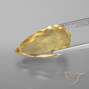9,17 ctw natürlicher gold-orange Citrin, Briolette, VVS