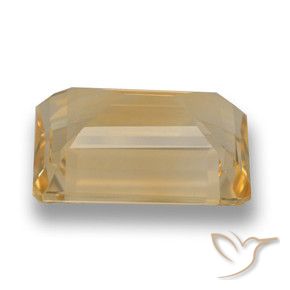 9,17 ctw natürlicher gold-orange Citrin, Oktagonschliff, VVS
