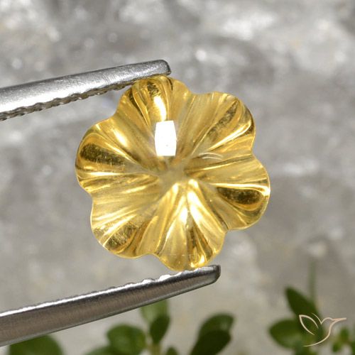 2.78ct Natürlicher Tiefes Gold Citrin, Blumen-Schliff, Transparent
