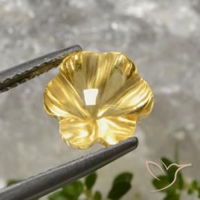 9,17 ctw natürlicher Tiefes Gold Citrin, Blumen-Schliff, Transparent