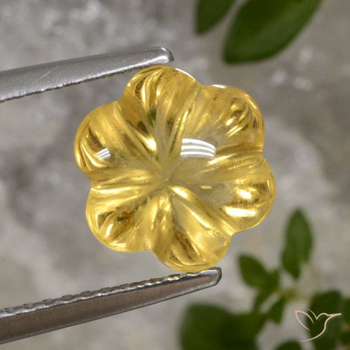 2.69ct Natürlicher Golden Citrin, Blumen-Schliff, Transparent