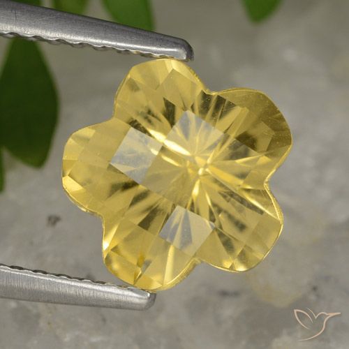 1.63ct Natürlicher Mittelgelb Citrin, Blumen-Schliff, Transparent