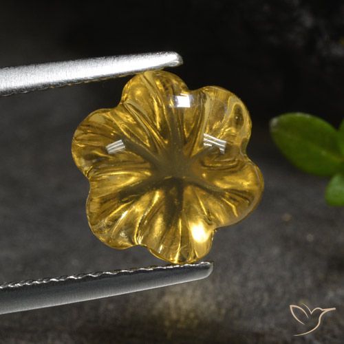 3.20ct Natürlicher Gold-Orange Citrin, Blumen-Schliff, Transparent