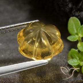 9,17 ctw natürlicher Mittelgold Citrin, Blumen-Schliff, Transparent