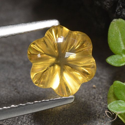 1.66ct Natürlicher Mittelgold Citrin, Blumen-Schliff, Transparent