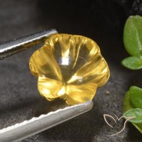 9,17 ctw natürlicher Mittelgold Citrin, Blumen-Schliff, Transparent