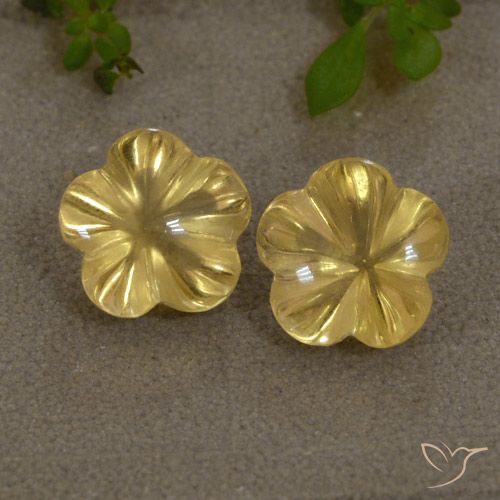 4.27ctw Natürlicher Helles Gold-Gelb Citrin, Blumen-Schliff, Transparent