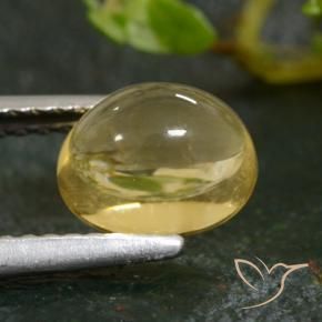 9,17 ctw natürlicher Hell Gold Citrin, Oval, Transparent