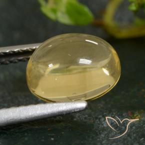 9,17 ctw natürlicher hellgelb Citrin, Oval, Transparent