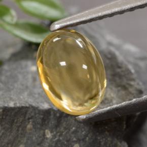 1,07 ctw natürlicher goldener Citrin, Oval Schliff, Transparent
