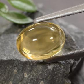 1,07 ctw natürlicher goldener Citrin, Oval Schliff, Transparent