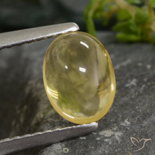 1.43ct Natürlicher Hell Gold Citrin, Oval, Transparent