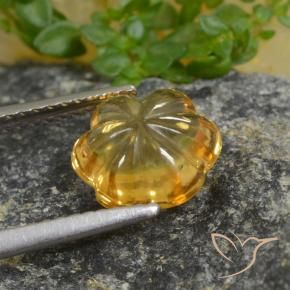 9,17 ctw natürlicher Dunkel gelb Citrin, Blumen-Schliff, Transparent