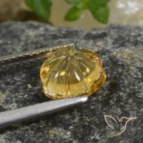 9,17 ctw natürlicher Tiefes Gold Citrin, Blumen-Schliff, Transparent