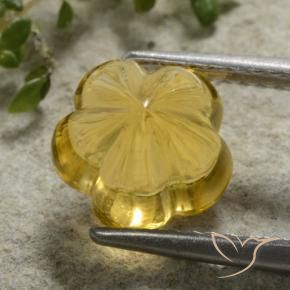 9,17 ctw natürlicher Gold-Orange Citrin, Blumen-Schliff, Transparent