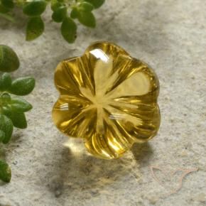 9,17 ctw natürlicher Honiggelb Citrin, Blumen-Schliff, Transparent