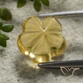 9,17 ctw natürlicher Honiggelb Citrin, Blumen-Schliff, Transparent