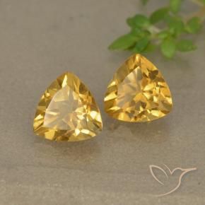 1.46 ct natürliche Dunkelgolden Citrin-Edelsteine, Trillion, VVS-VS