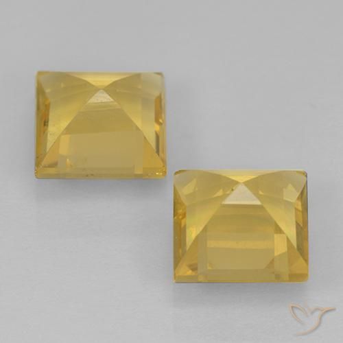 1.83 ct natürliche Golden Citrin-Edelsteine, Quadrat, VVS-VS