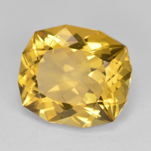 12,87 ctw natürlicher goldener Citrin, Fantasieschliff, VVS