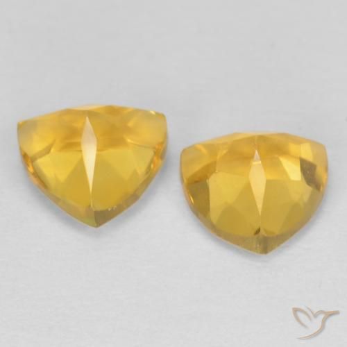 1.50 ct natürliche Helles Gold Citrin-Edelsteine, Trillion, VVS-VS