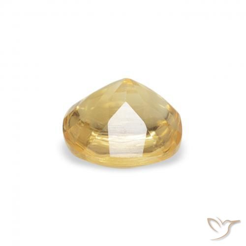 9,17 ctw natürlicher Golden Citrin, Kissen, Transparent