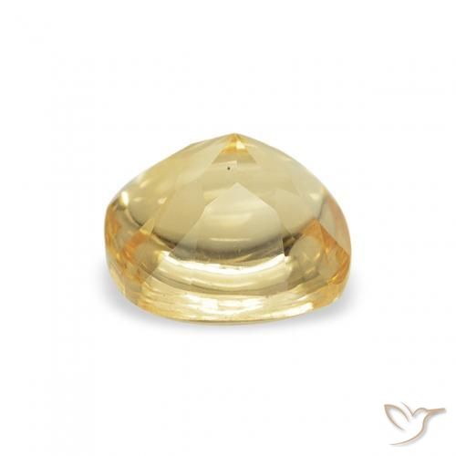 9,17 ctw natürlicher Hell Gold Citrin, Kissen, Transparent