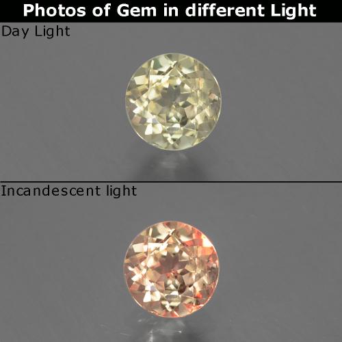 9,17 ctw natürlicher Sehr helles Gelb Farbwechselnder Diaspor, Rund Schliff, VS-SI