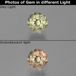 9,17 ctw natürlicher Grün zu Pink Farbwechselnder Diaspor, Rund Schliff, VS