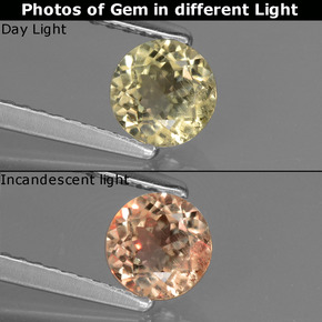 0,59 ctw natürlicher color-change Farbwechsel-Diaspor, Rundschliff, VS-SI